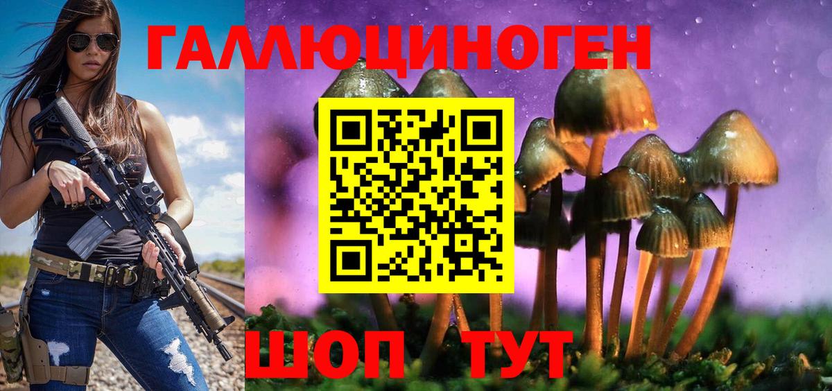 Орехово-Зуево  Галлюциногенные грибы Psilocybine cubensis  Вход с VPN 